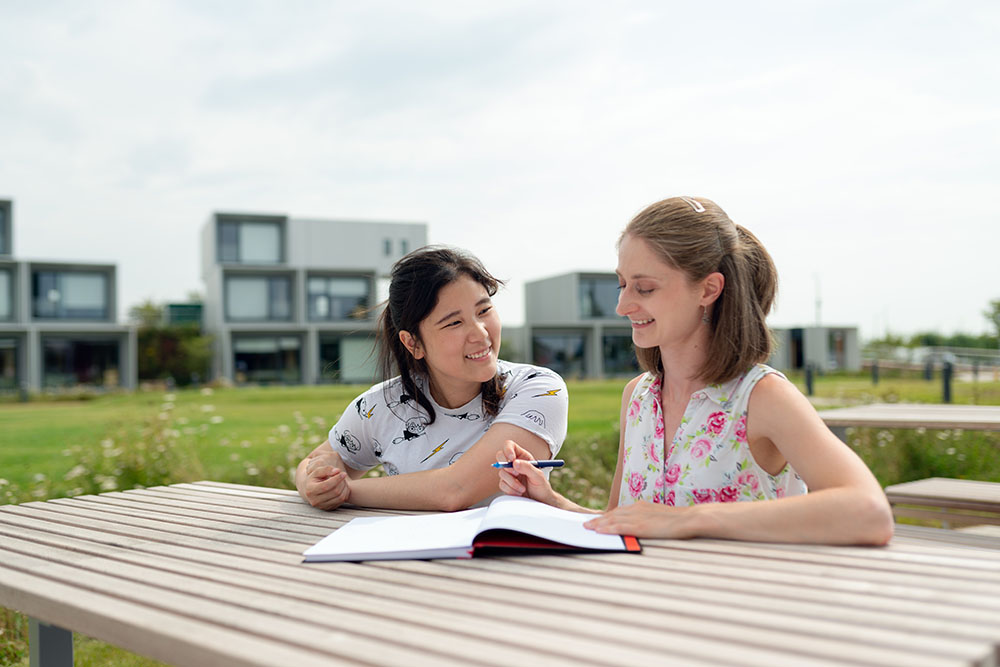 How to Best Utilize Your 1-on-1 Academic Tutoring
