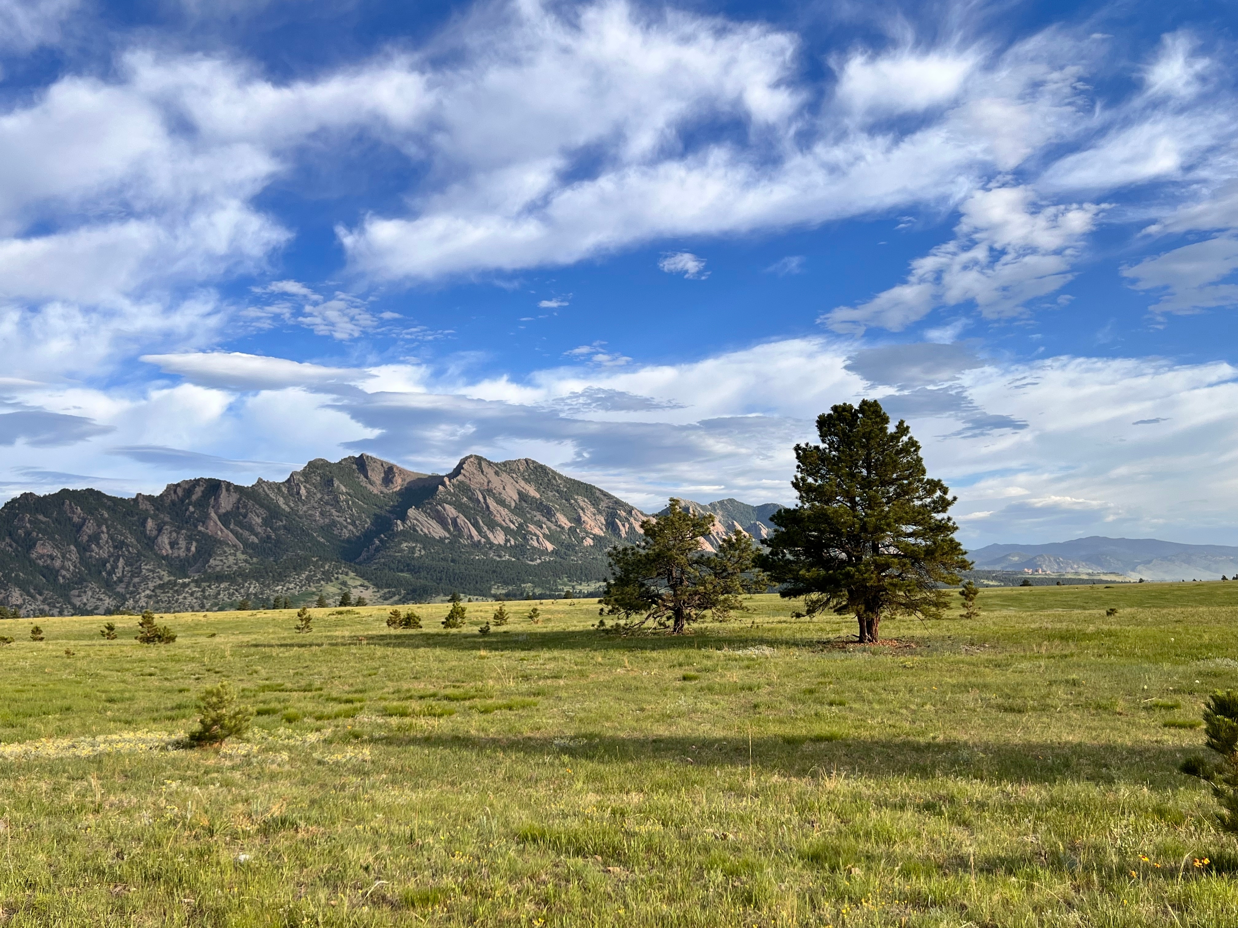 Can ACT Test Prep be Fun? 5 Tips to Enjoy Studying for the ACT in Denver